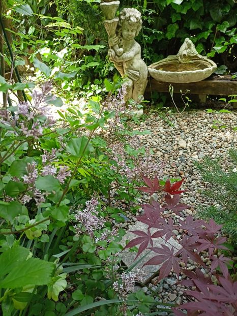  - Grădina 2024 continuare 1