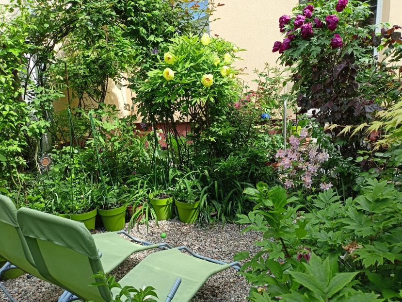  - Grădina 2024 continuare 1