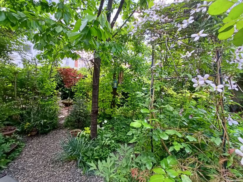  - Grădina 2024 continuare 1