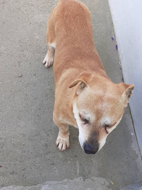  - FEBRUARIE- MARTIE- APRILIE