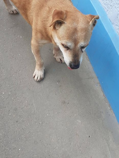  - FEBRUARIE- MARTIE- APRILIE