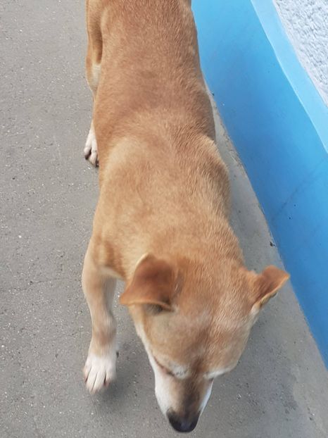  - FEBRUARIE- MARTIE- APRILIE