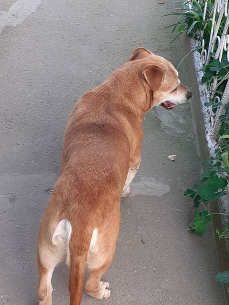  - FEBRUARIE- MARTIE- APRILIE