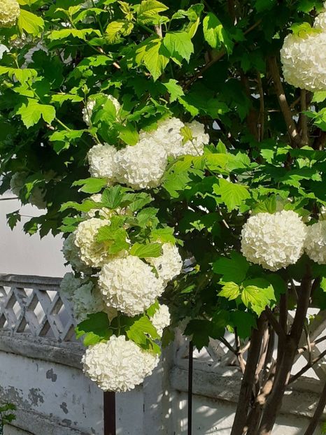  - FEBRUARIE- MARTIE- APRILIE