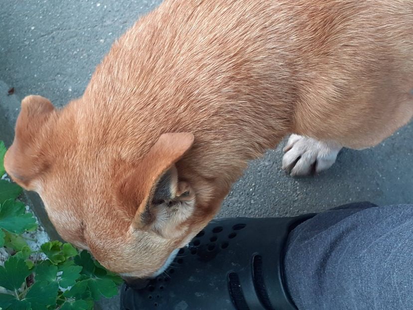  - FEBRUARIE- MARTIE- APRILIE