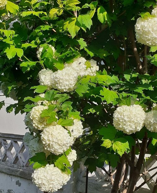  - FEBRUARIE- MARTIE- APRILIE