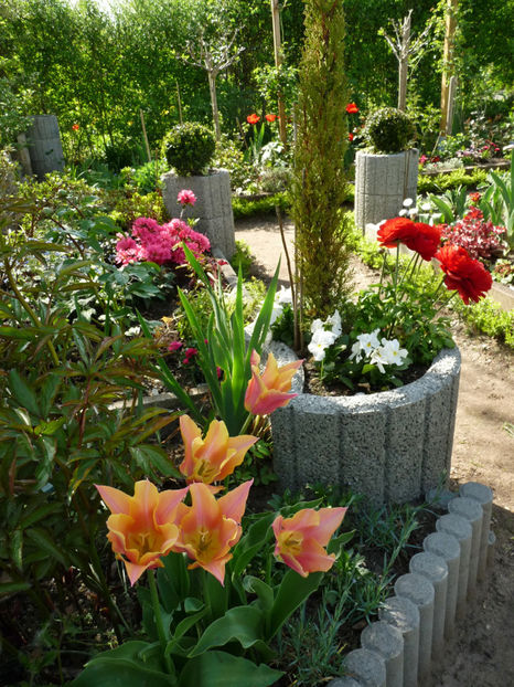  - 2024 - 01 - Primavara