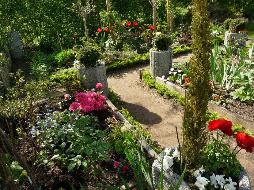  - 2024 - 01 - Primavara