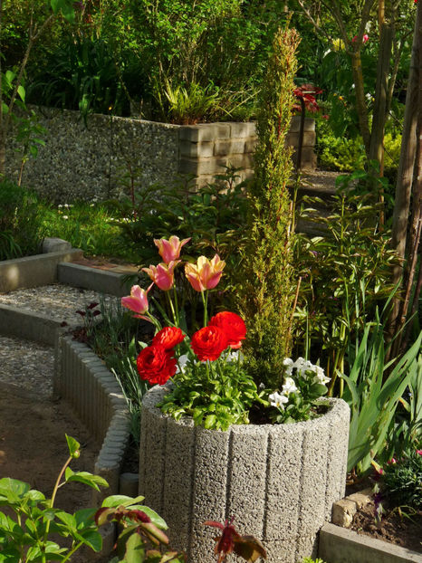  - 2024 - 01 - Primavara