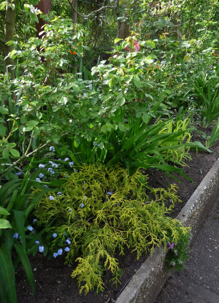  - 2024 - 01 - Primavara