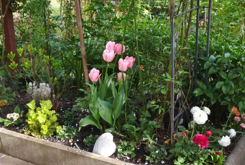  - 2024 - 01 - Primavara