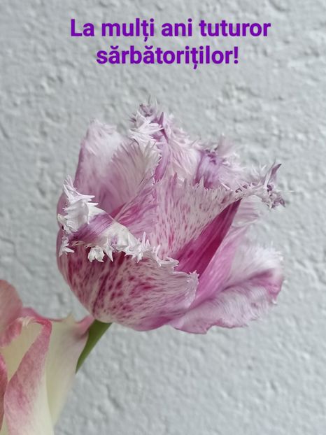 La mulți ani Georgeta, Georgy ❤️ - La mulți ani