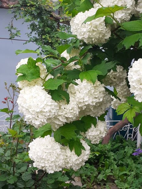  - FEBRUARIE- MARTIE- APRILIE