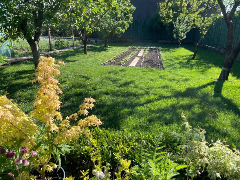  - 002 Grădina 2024 1