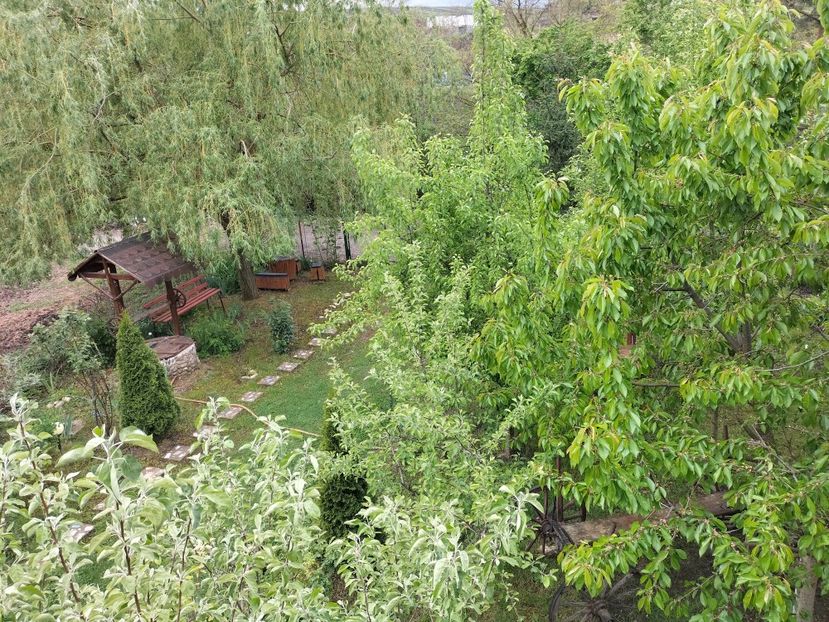 IMG20240422141224 - Primăvară 2024