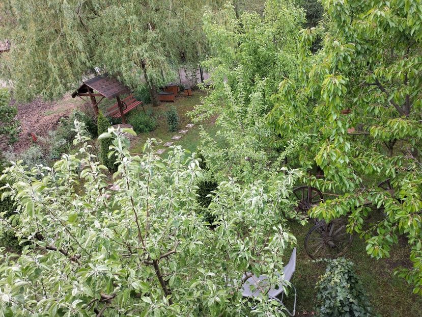 IMG20240422141214 - Primăvară 2024