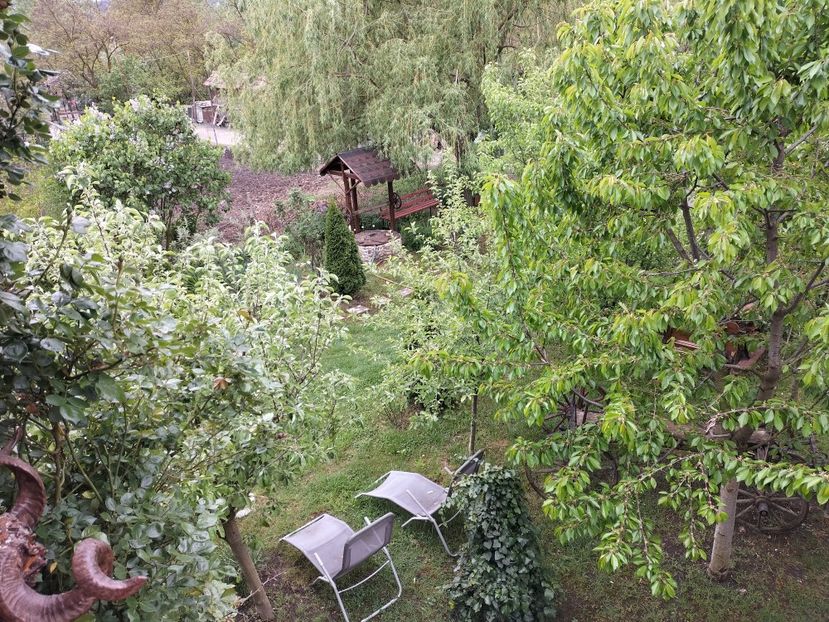 IMG20240422141203 - Primăvară 2024