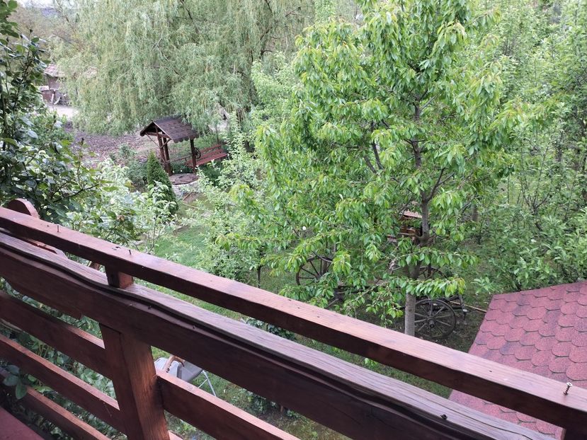 IMG20240422141147 - Primăvară 2024