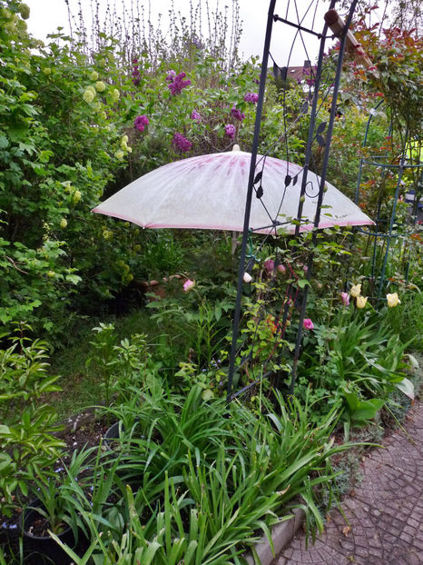 Au trecut 5 valuri cu grindina. - 2024 - 01 - Primavara