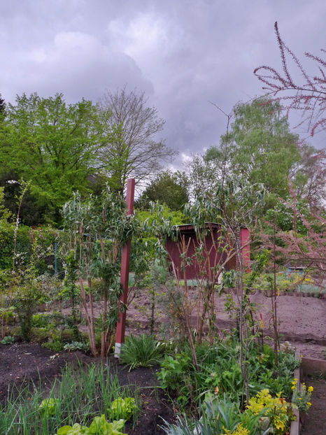 Nori grei cu ghiata si zapada. - 2024 - 01 - Primavara