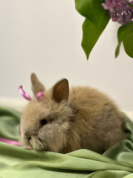  - 10 Noi achiziții 2023