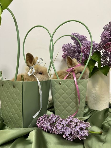  - 10 Noi achiziții 2023