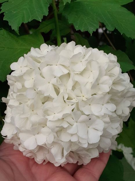  - FEBRUARIE- MARTIE- APRILIE