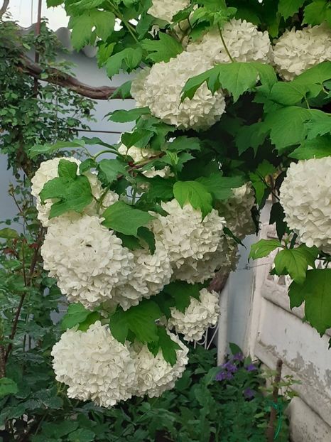  - FEBRUARIE- MARTIE- APRILIE