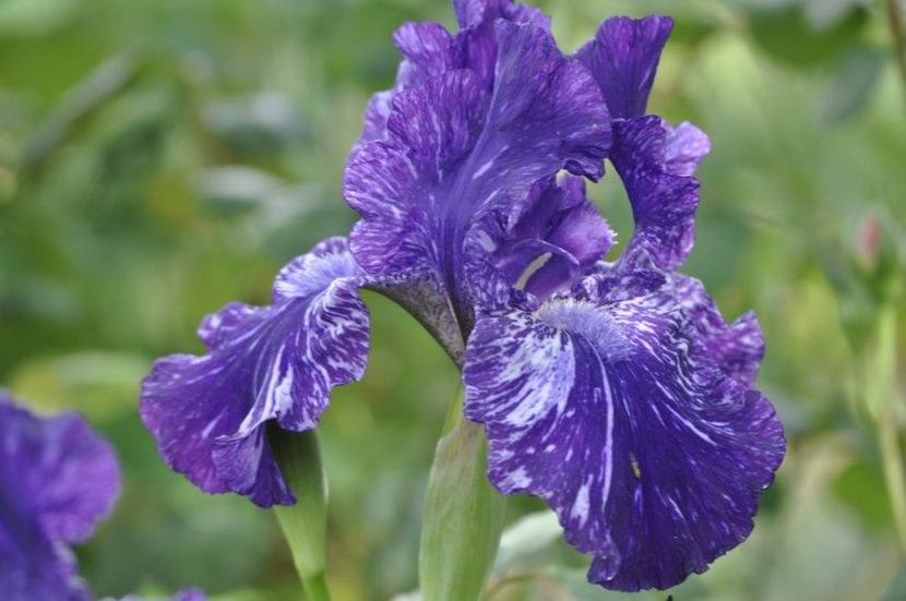 _DSC1082 - ANUL 2024