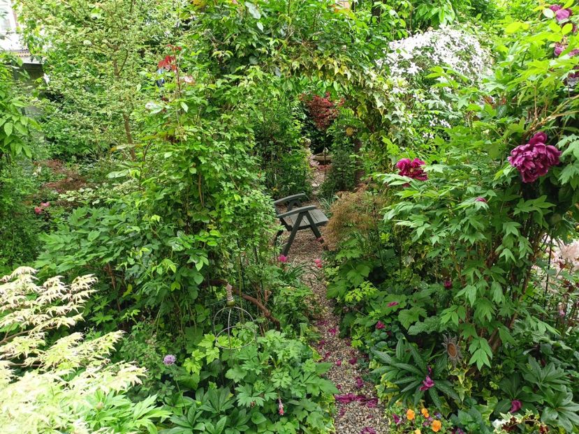 25.04.2024 - Grădina 2024 continuare 1