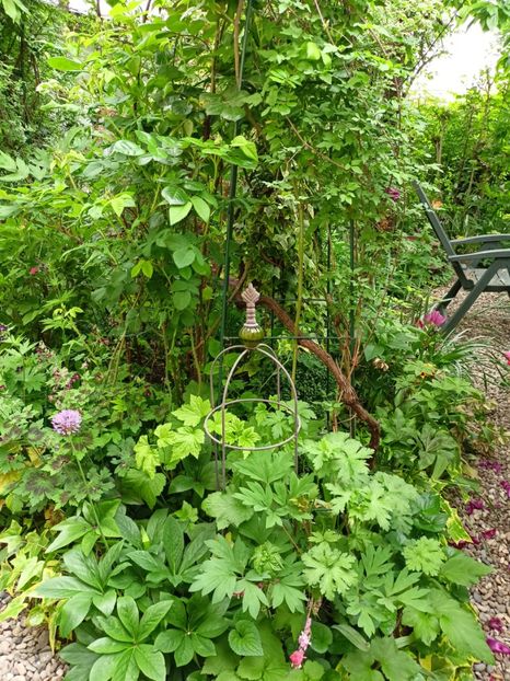  - Grădina 2024 continuare 1