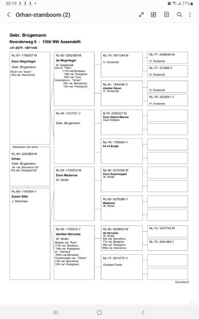 Screenshot_20240426-021911_Samsung Notes - GEBR BRUGEMANN