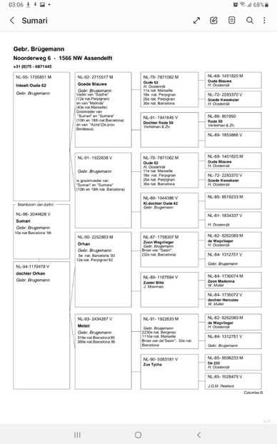 Screenshot_20240426-030621_Samsung Notes - GEBR BRUGEMANN