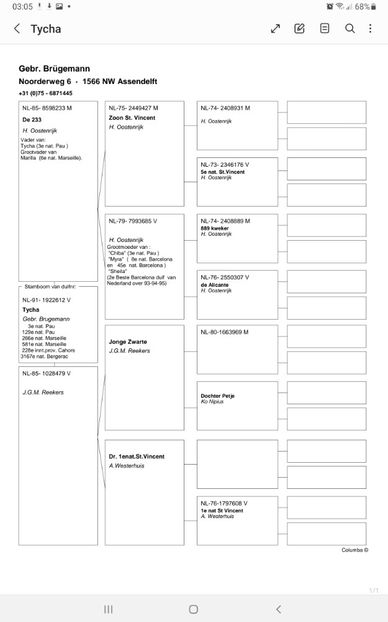 Screenshot_20240426-030542_Samsung Notes - GEBR BRUGEMANN