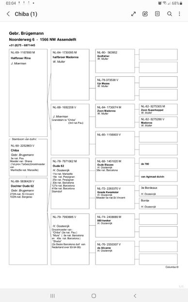 Screenshot_20240426-030419_Samsung Notes - GEBR BRUGEMANN