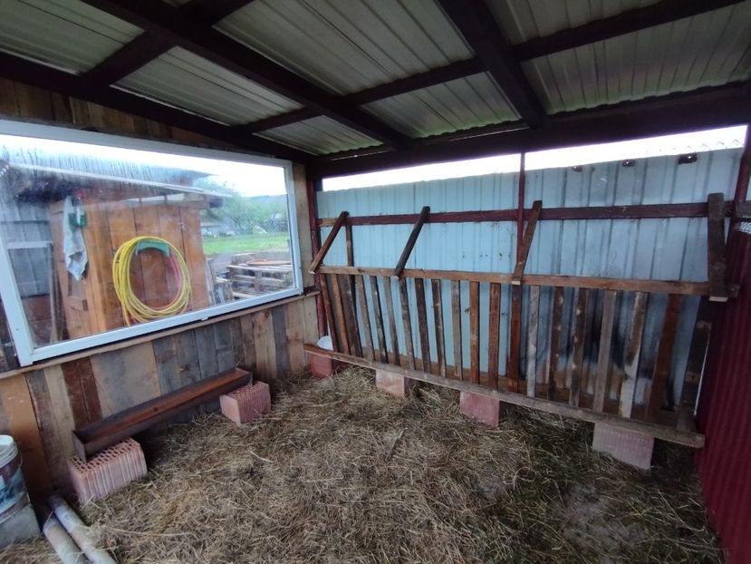  - ALPINĂ - FRANCEZĂ - OI