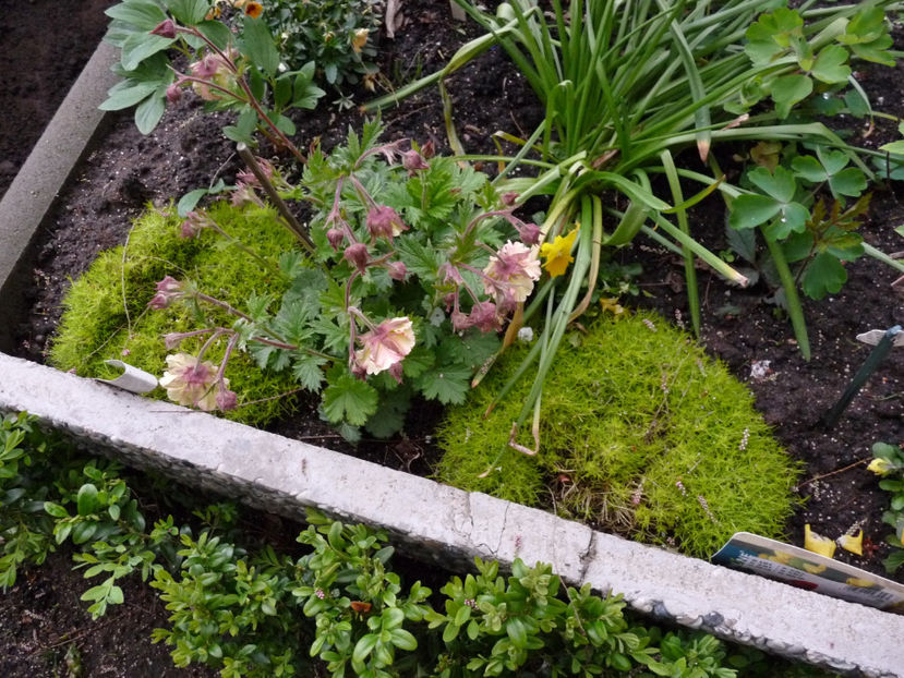  - 2024 - 01 - Primavara