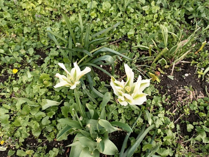 Img.2024.04.26 - Magazinul 3