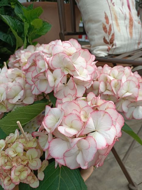 Img.2024.04.26 - Magazinul 3