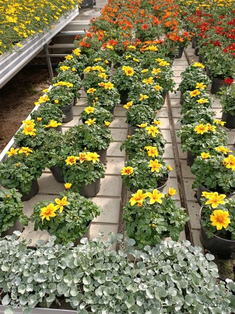 Img.2024.04.26 - Magazinul 3