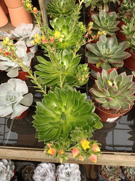 Img.2024.04.26 - Magazinul 3