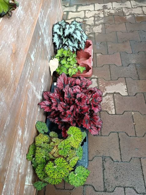 Img.2024.04.26 - Magazinul 3