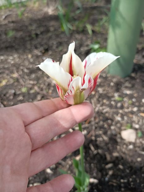 Img.2024.04.26 - Magazinul 3