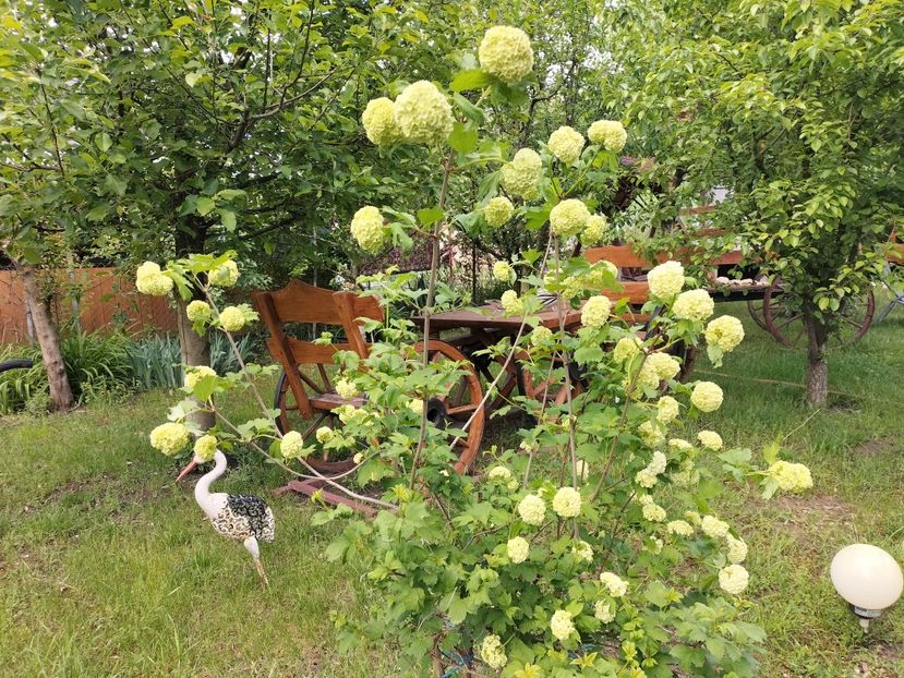 IMG20240426140857 - Primăvară 2024