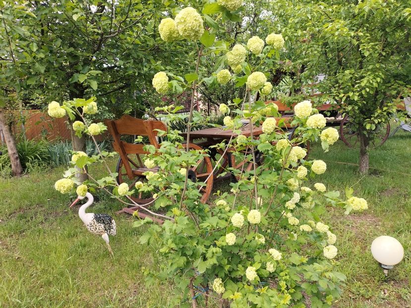 IMG20240426140854 - Primăvară 2024