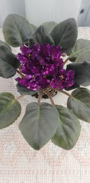 12 dec - AE Mlechnyj Put