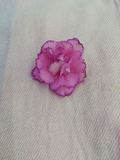 4 aug - LF Devochka s Veerom