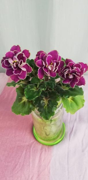 5 ian - BO Ptitsa Radostj