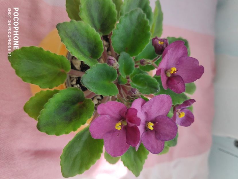 16 apr - Hunter s Captivating