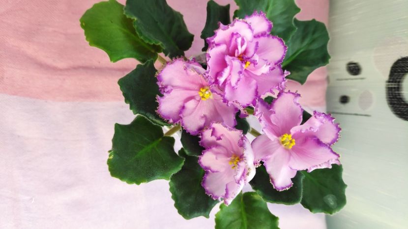 23 mar - AV Antidepressant